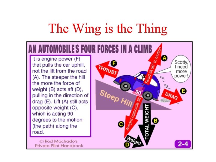 The Wing is the Thing 