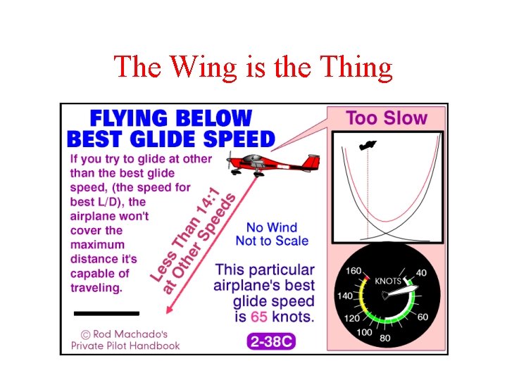 The Wing is the Thing 