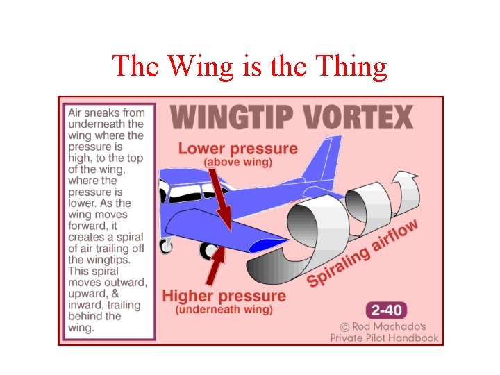 The Wing is the Thing 