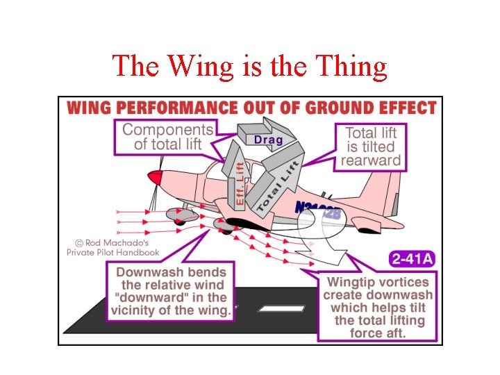 The Wing is the Thing 
