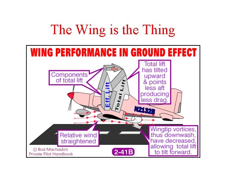 The Wing is the Thing 