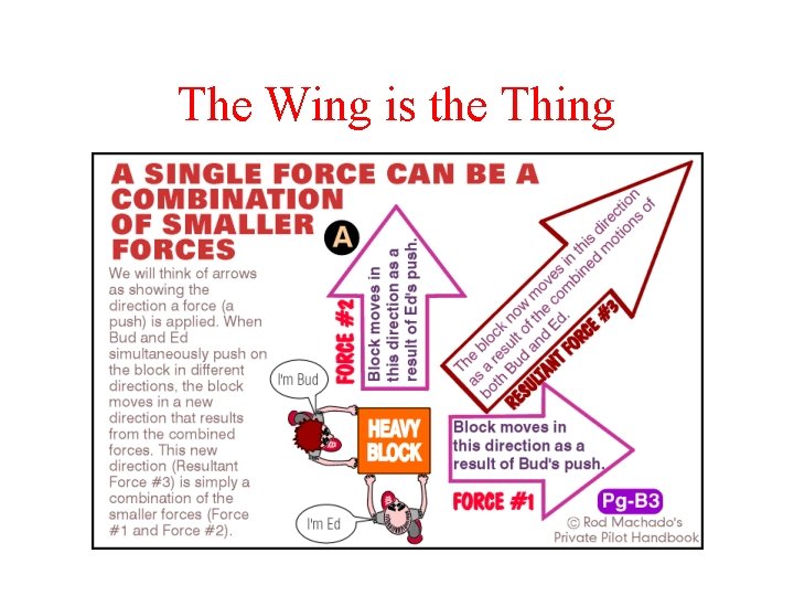 The Wing is the Thing 