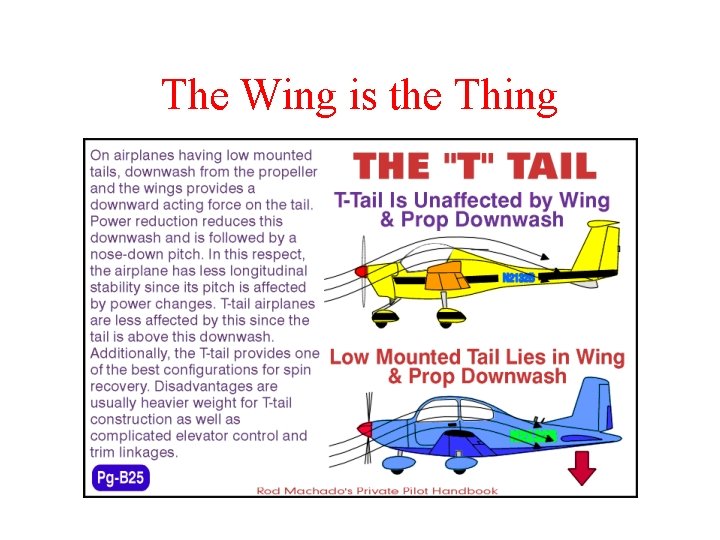 The Wing is the Thing 