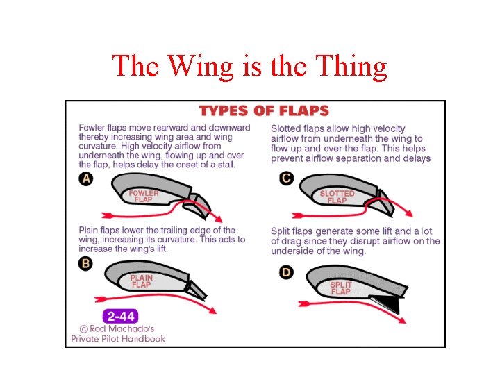 The Wing is the Thing 