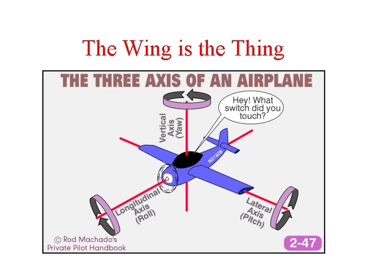 The Wing is the Thing 