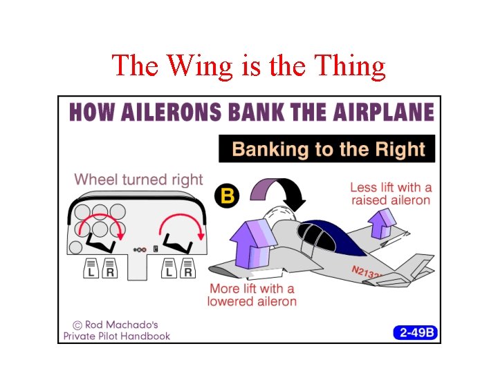 The Wing is the Thing 