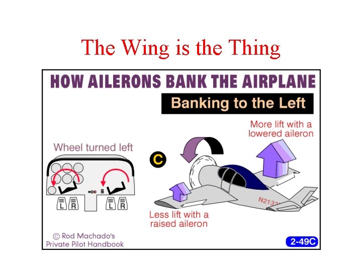 The Wing is the Thing 