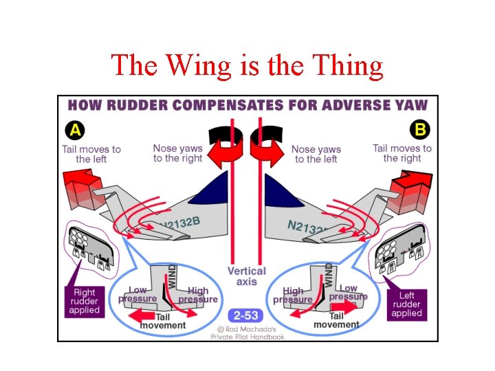 The Wing is the Thing 