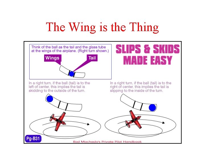 The Wing is the Thing 