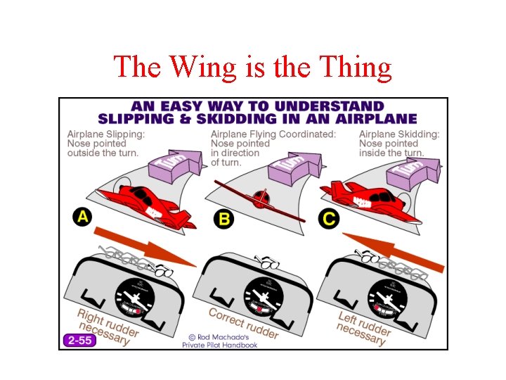 The Wing is the Thing 