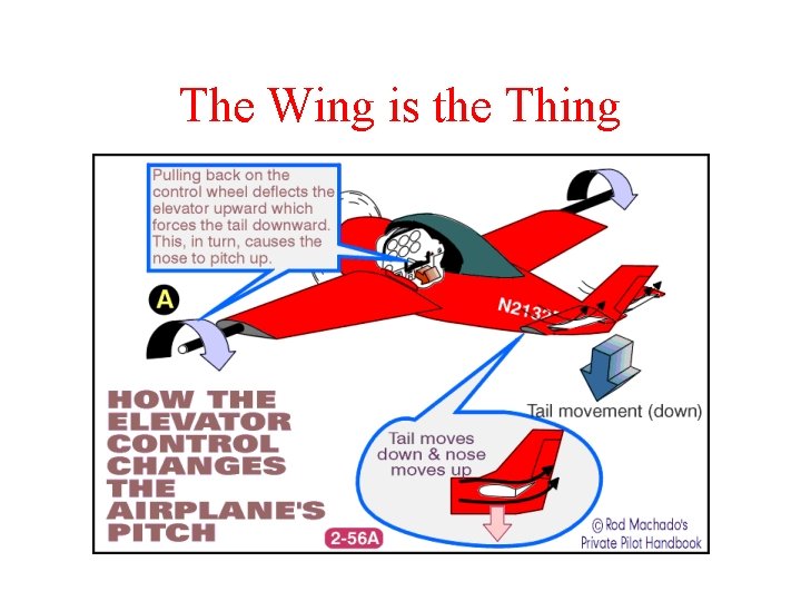 The Wing is the Thing 