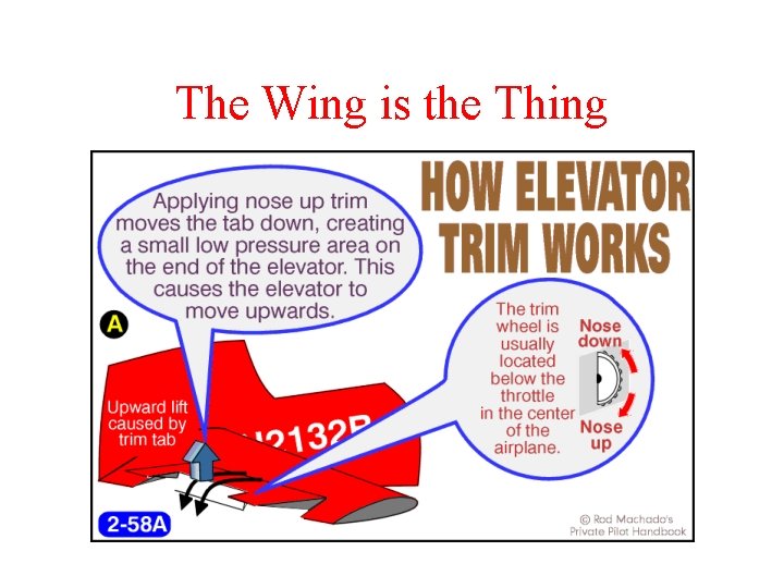 The Wing is the Thing 