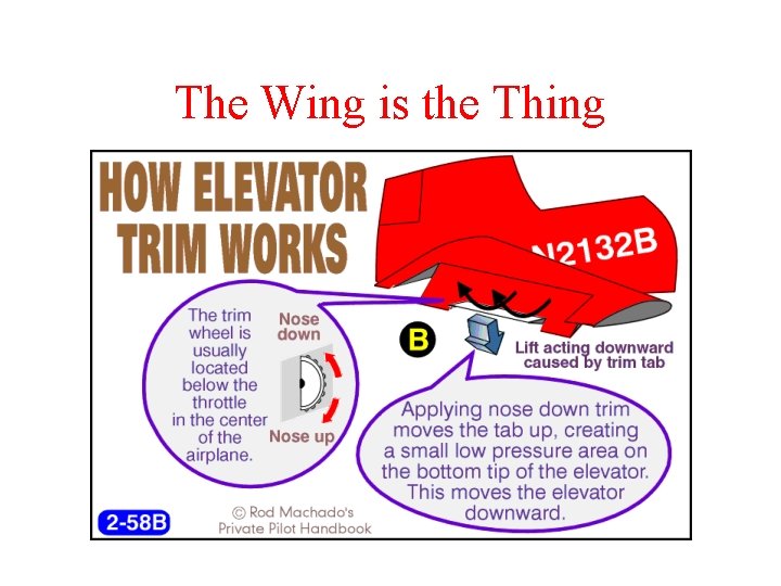 The Wing is the Thing 