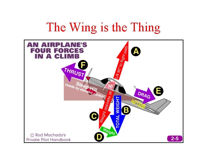 The Wing is the Thing 