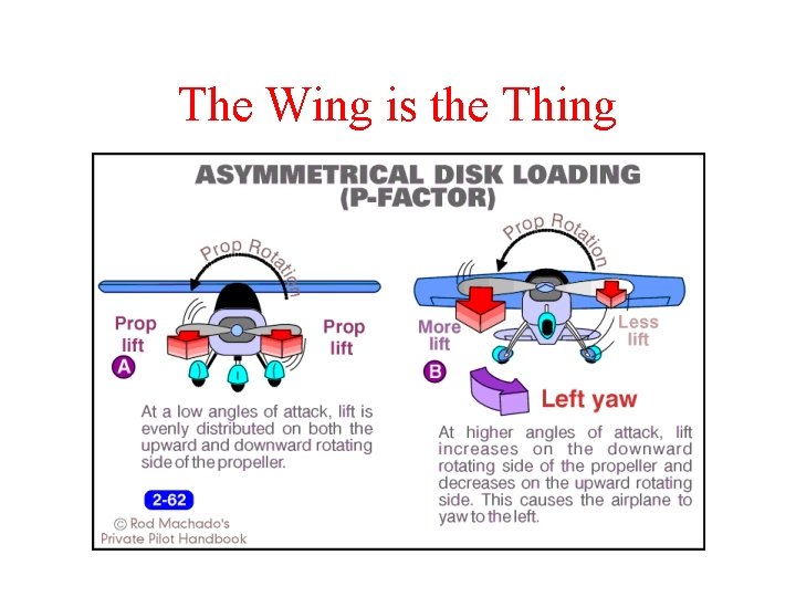 The Wing is the Thing 