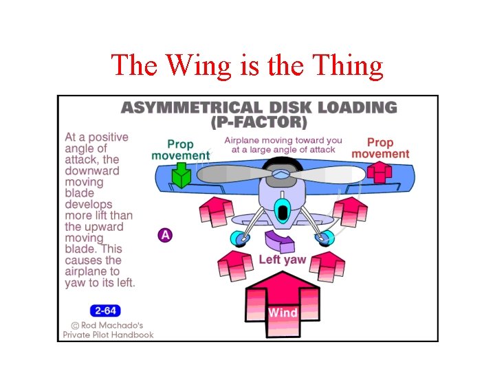 The Wing is the Thing 