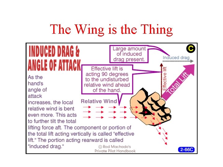 The Wing is the Thing 