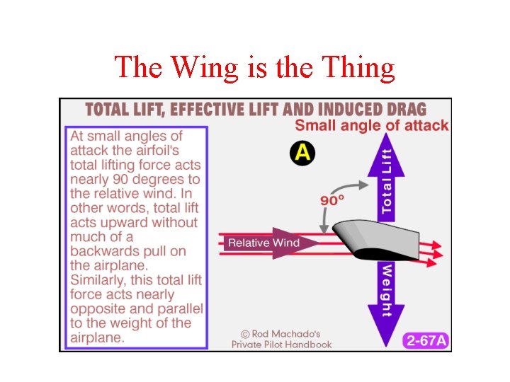 The Wing is the Thing 