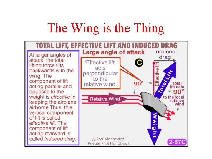 The Wing is the Thing 