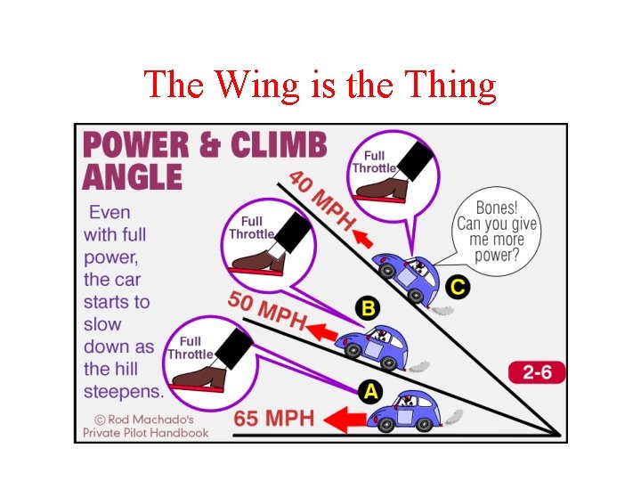 The Wing is the Thing 