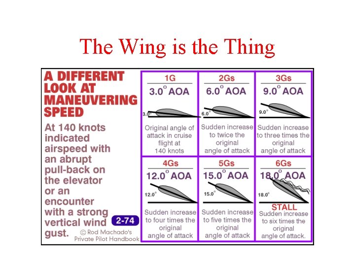 The Wing is the Thing 