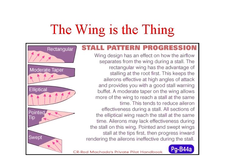 The Wing is the Thing 