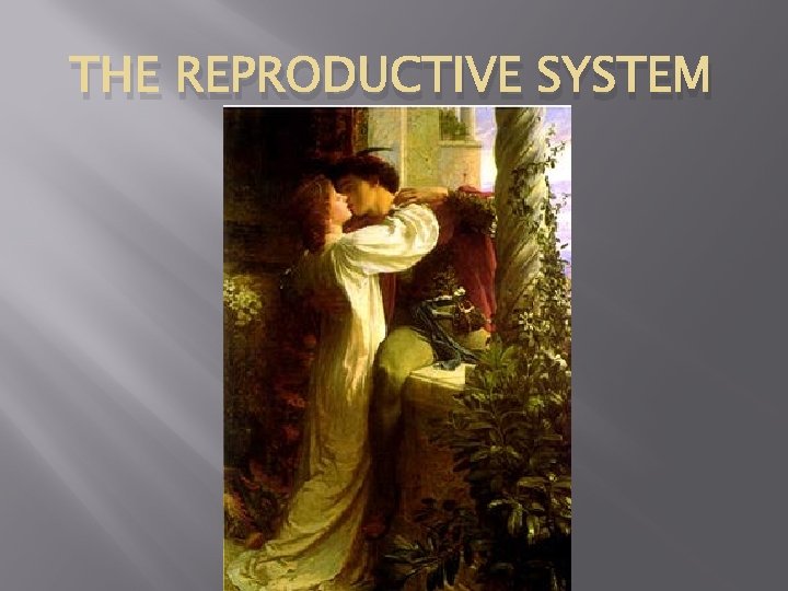 THE REPRODUCTIVE SYSTEM 