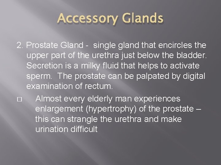 Accessory Glands 2. Prostate Gland - single gland that encircles the upper part of