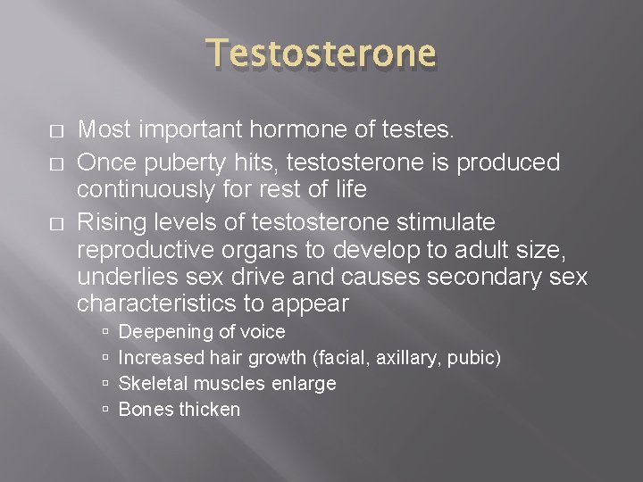 Testosterone � � � Most important hormone of testes. Once puberty hits, testosterone is