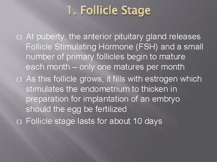 1. Follicle Stage � � � At puberty, the anterior pituitary gland releases Follicle