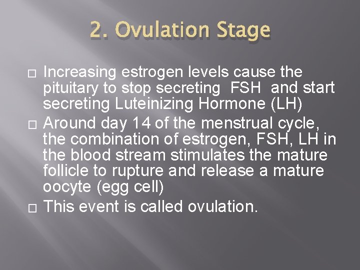 2. Ovulation Stage � � � Increasing estrogen levels cause the pituitary to stop