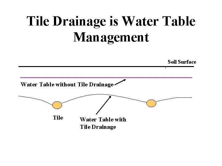 Tile Drainage is Water Table Management Soil Surface Water Table without Tile Drainage Tile