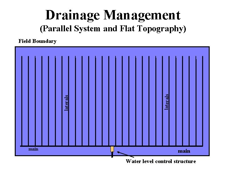 Drainage Management (Parallel System and Flat Topography) main laterals Field Boundary main Water level