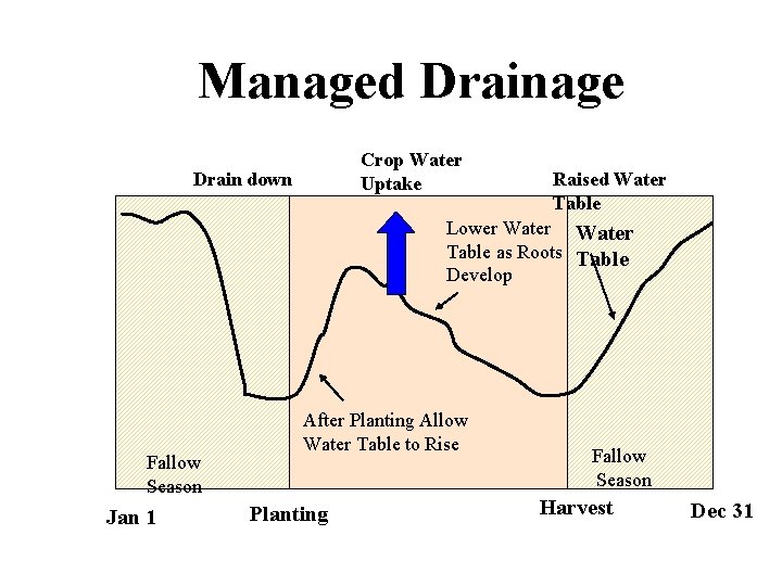 Managed Drainage Crop Water Uptake Drain down Raised Water Table Lower Water Table as