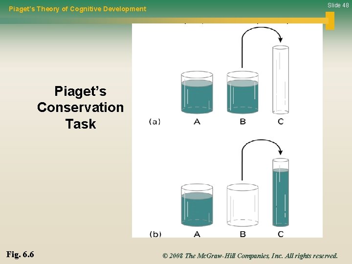 Piaget’s Theory of Cognitive Development Slide 48 Piaget’s Conservation Task Fig. 6. 6 ©