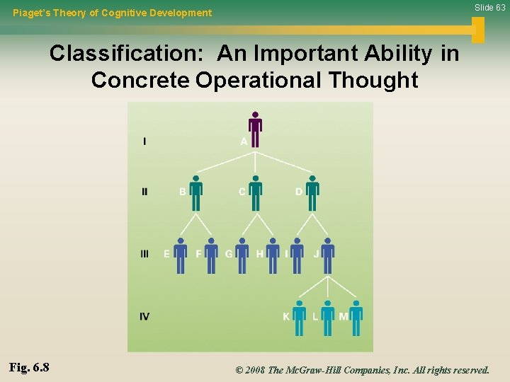 Slide 63 Piaget’s Theory of Cognitive Development Classification: An Important Ability in Concrete Operational