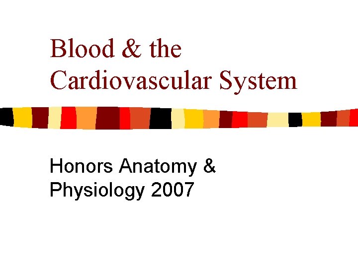 Blood & the Cardiovascular System Honors Anatomy & Physiology 2007 