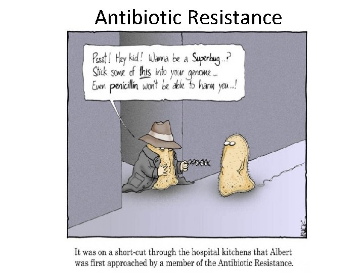 Antibiotic Resistance 