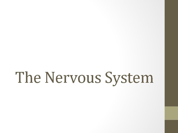 The Nervous System 