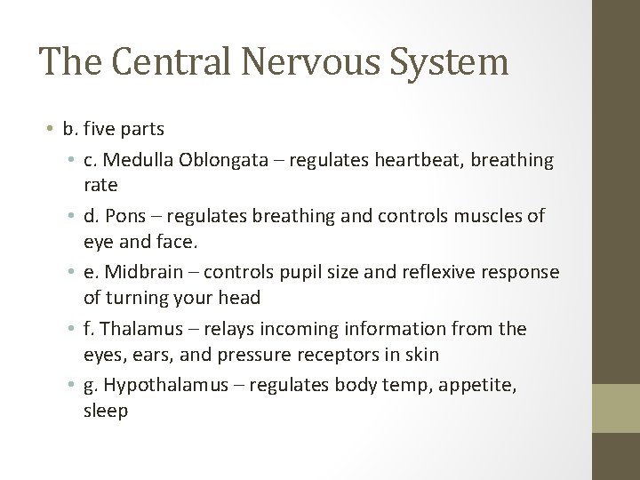 The Central Nervous System • b. five parts • c. Medulla Oblongata – regulates