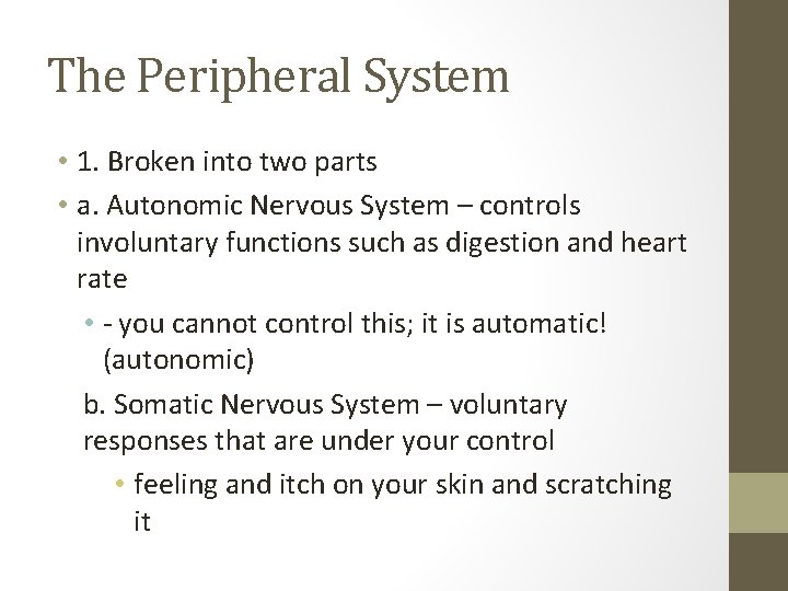 The Peripheral System • 1. Broken into two parts • a. Autonomic Nervous System