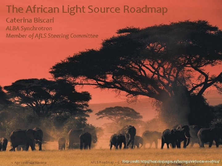 The African Light Source Roadmap Caterina Biscari ALBA Synchrotron Member of Af. LS Steering