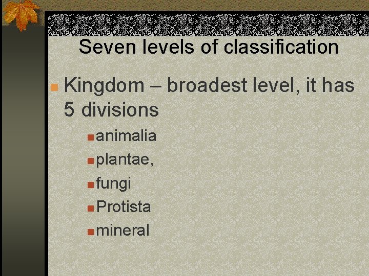 Seven levels of classification n Kingdom – broadest level, it has 5 divisions animalia