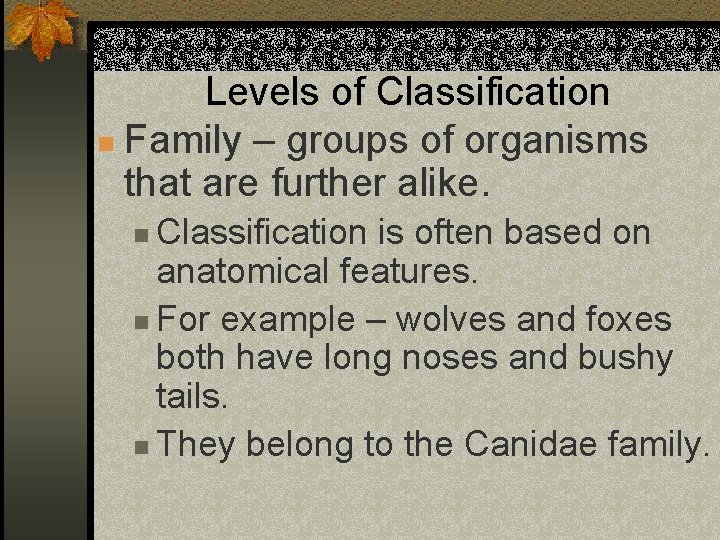 Levels of Classification n Family – groups of organisms that are further alike. Classification