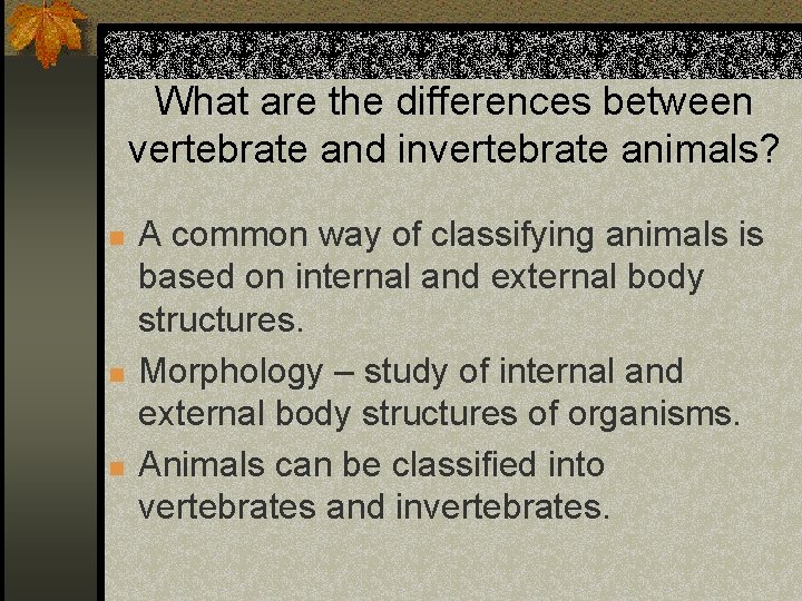 What are the differences between vertebrate and invertebrate animals? n n n A common