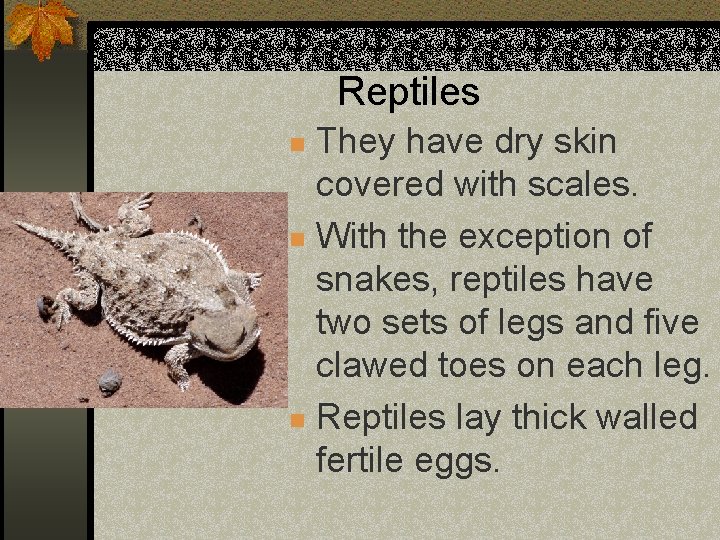 Reptiles They have dry skin covered with scales. n With the exception of snakes,