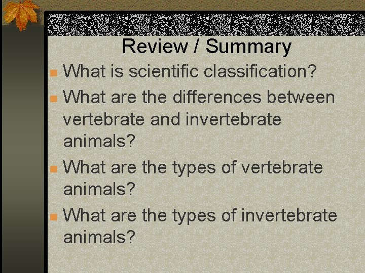 Review / Summary What is scientific classification? n What are the differences between vertebrate