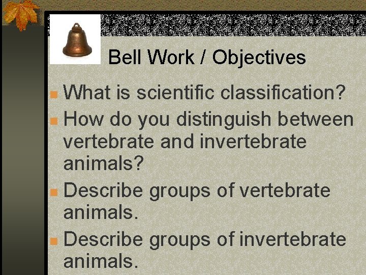 Bell Work / Objectives What is scientific classification? n How do you distinguish between