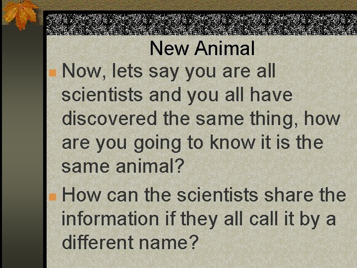 New Animal n Now, lets say you are all scientists and you all have