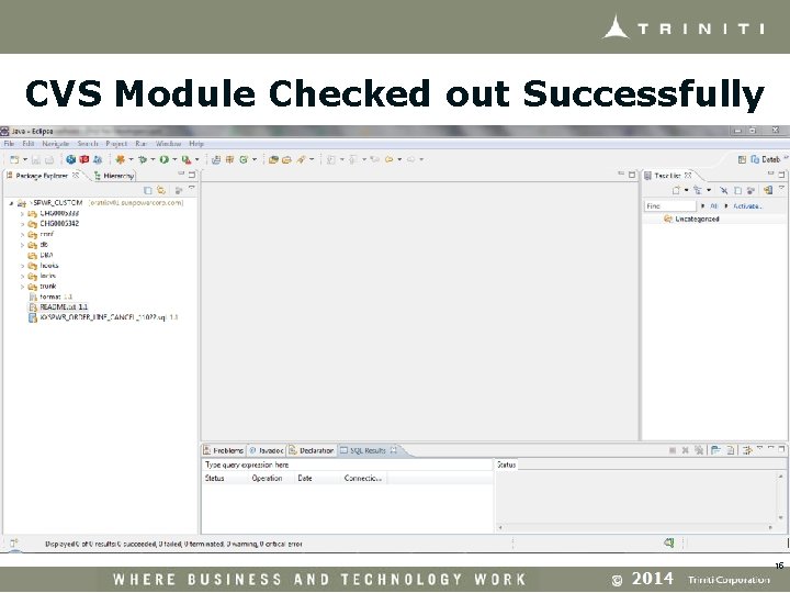 CVS Module Checked out Successfully 15 